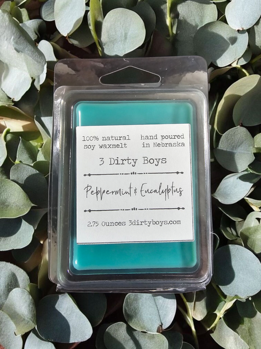 Peppermint Eucalyptus Wax Melt
